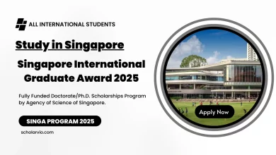 Singapore International Graduate Award 2025